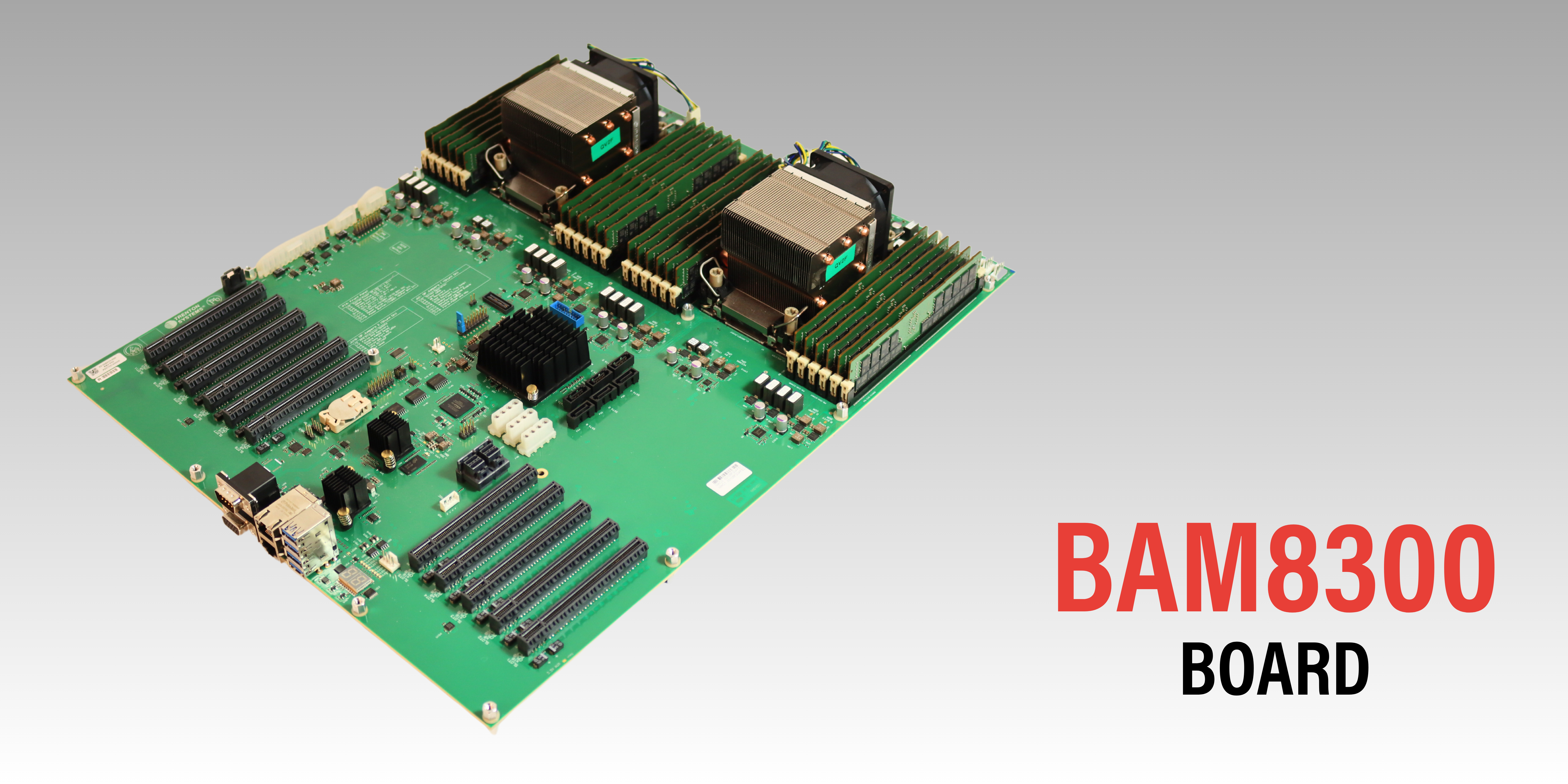 BAM8300 Board copy